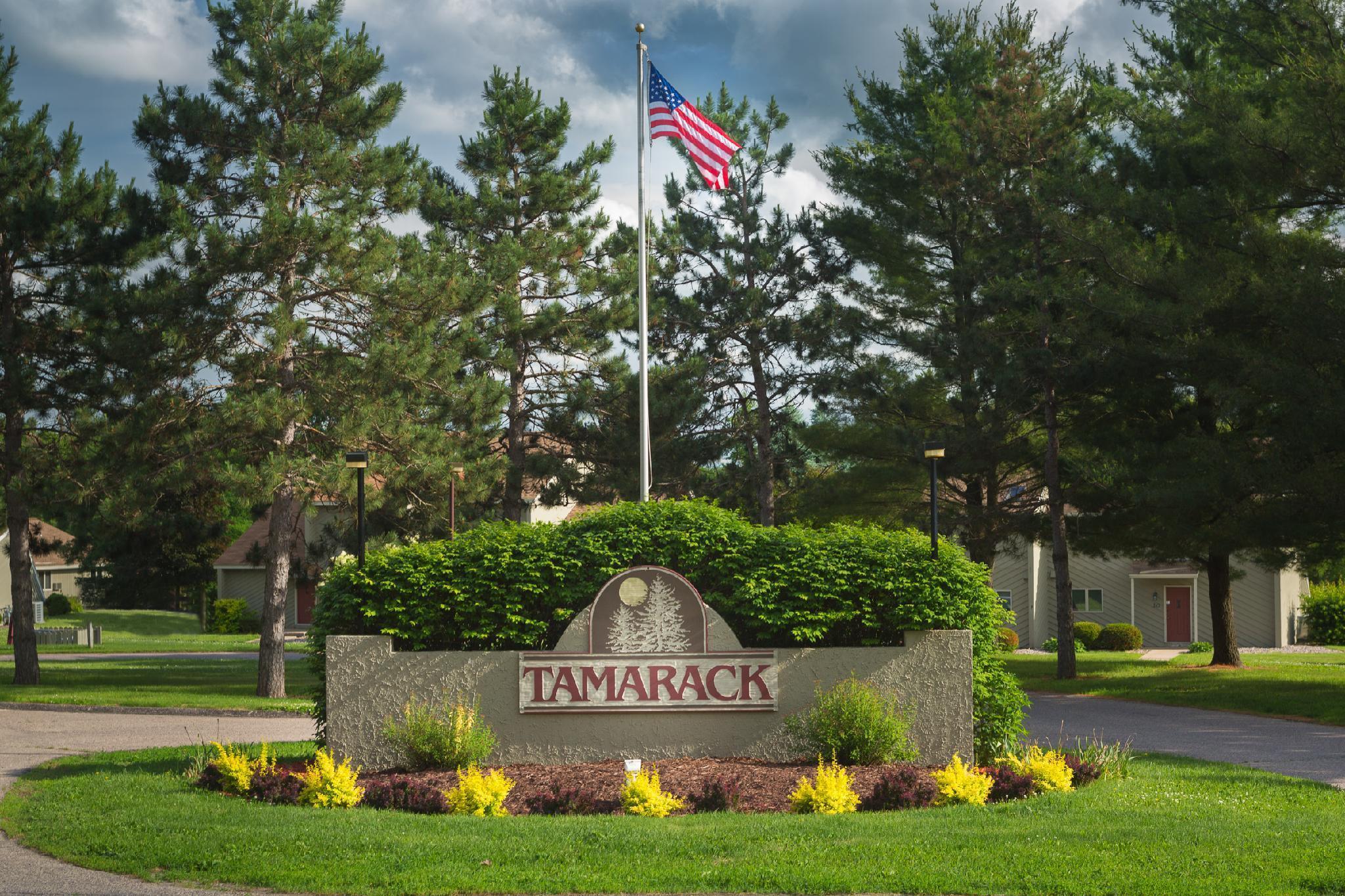 Отель Tamarack Wisconsin Dells, A Ramada By Wyndham Экстерьер фото